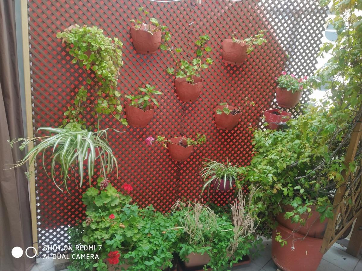 Habitacion Familiar En Un Atico Con Gran Terraza Y,Cocina ,En La Playa Бурриана Экстерьер фото
